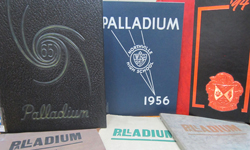 photograph of a collection of palladiums